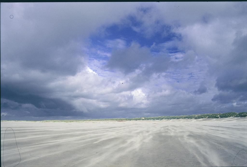 Dune Bep Schiermonnikoog Eksteriør billede